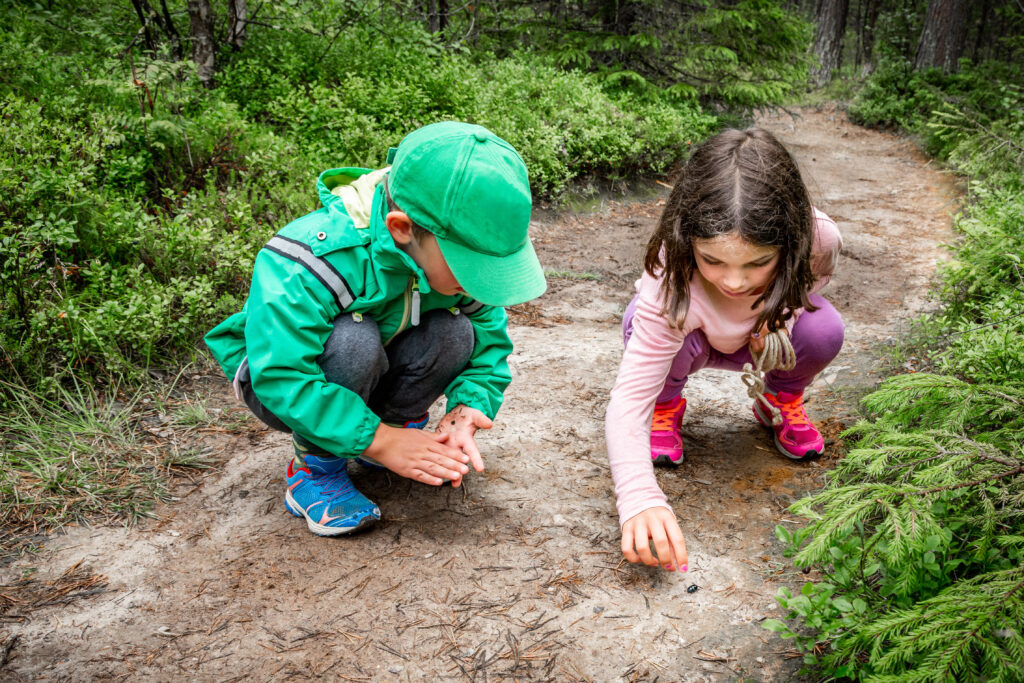 Little children boy and girl sitting on forest ground exploring and learning about nature and insects. Looking at a black bug.